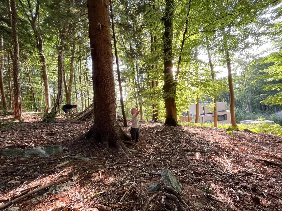 Gite Des Bois De Spa Exterior photo