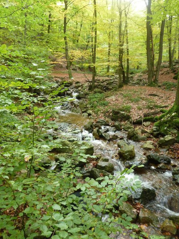 Gite Des Bois De Spa Exterior photo