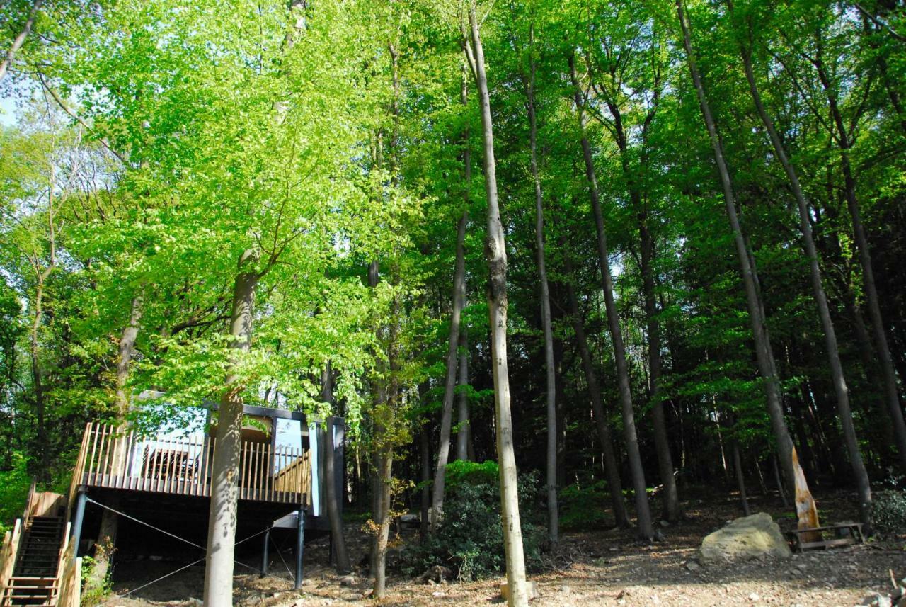 Gite Des Bois De Spa Exterior photo